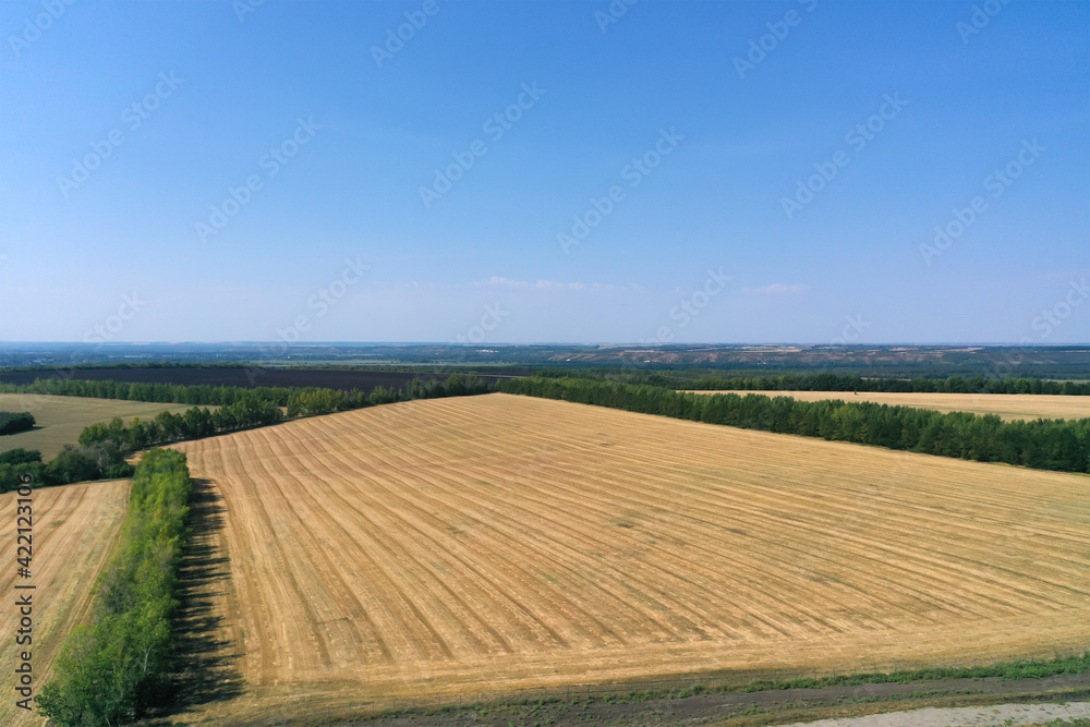 Aerial photography of agricultural fields in Russia. Beautiful views. Sunny day.