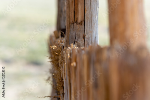 Reed fence. Altyn-Emel National Park. Almaty region, Kazakhstan.