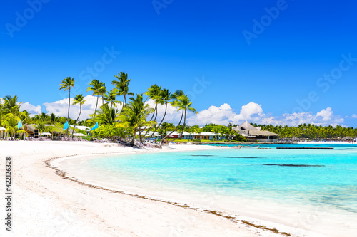 Fototapeta Naklejka Na Ścianę i Meble -  Coconut Palm trees on white sandy beach in Dominican Republic