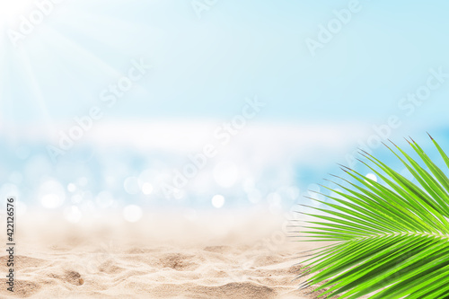Fototapeta Naklejka Na Ścianę i Meble -  Coconut palm leaf against blue sky and beautiful beach in Punta Cana, Dominican Republic.