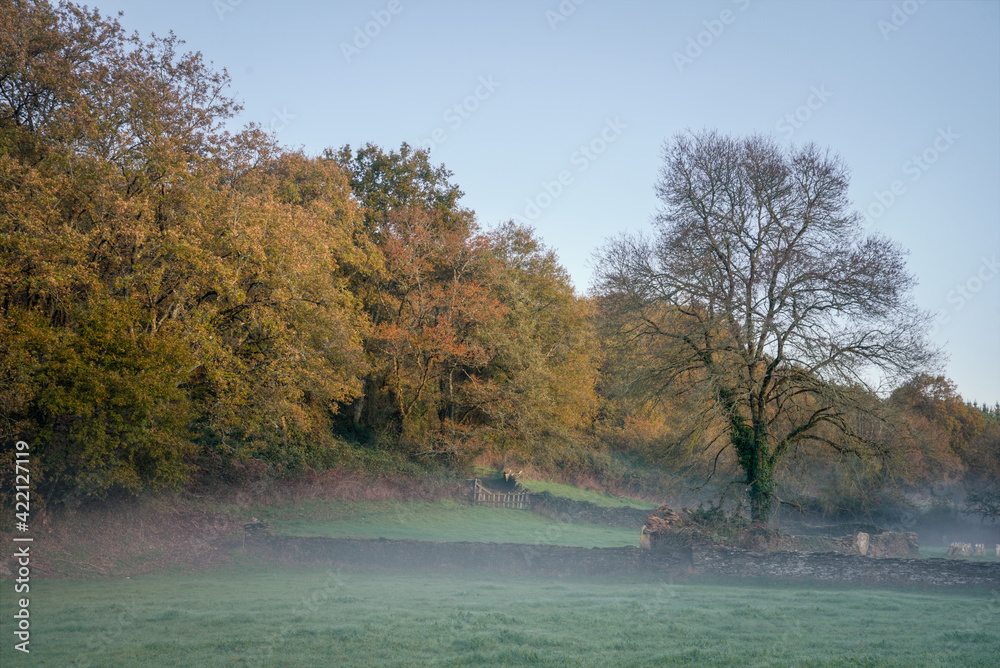 First lights of an autumnal day dissipate the mist in the fields First lights of an autumnal day dissipate the mist in the fields