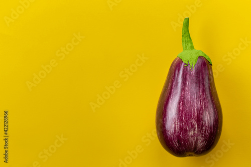 Raw purple eggplant on a yellow background. Fresh vegetables. Space for text. photo