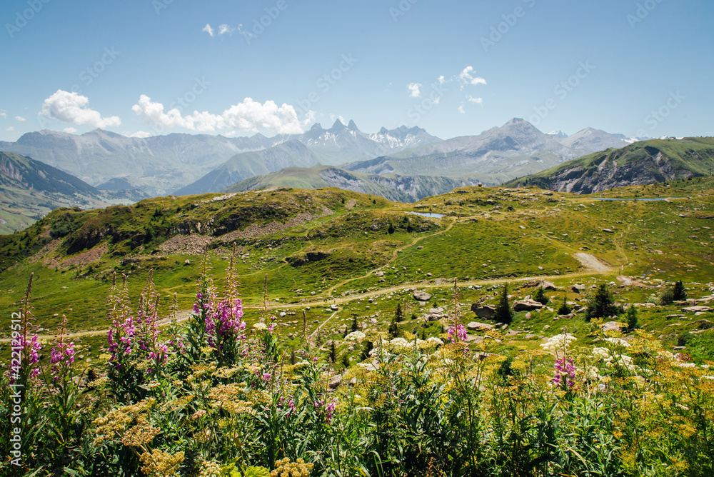 des fleurs et un paysage de montagne. Les Alpes françaises. La montagne en été.