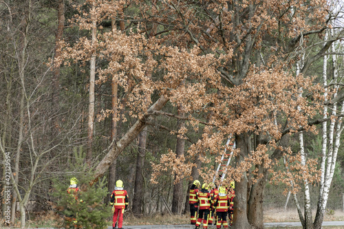 Die Feuerwehr im Einsatz, Windwurf Sturmschaden