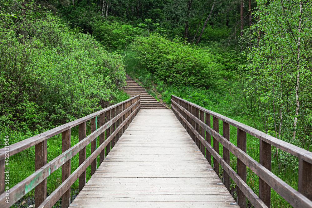 Wooden long bridge to the forest in perspective. Summer forest or park for walk. Wooden long bridge to the forest in perspective. Summer forest or park for walk.