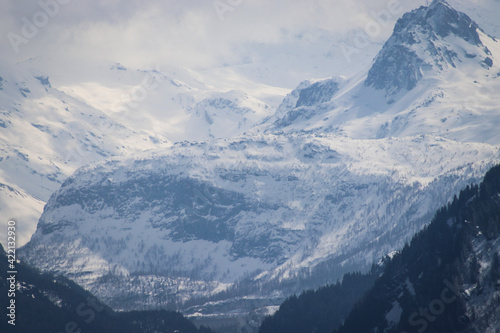 snow covered mountains