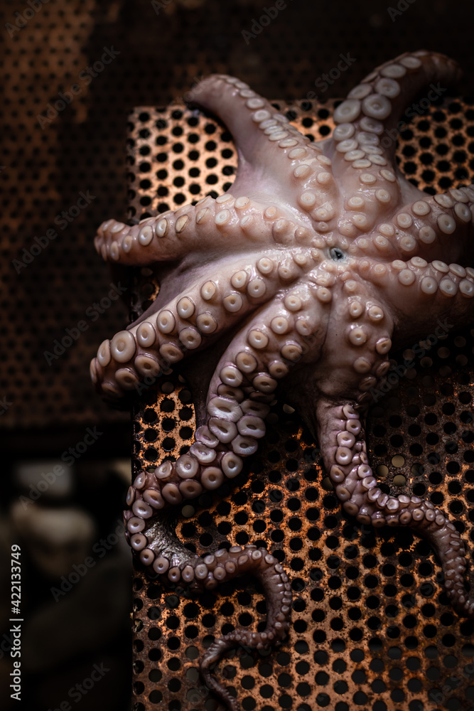 Obraz premium Raw fresh octopus in the darkness 