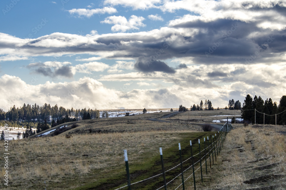 Fototapeta premium landscape with fence and sky