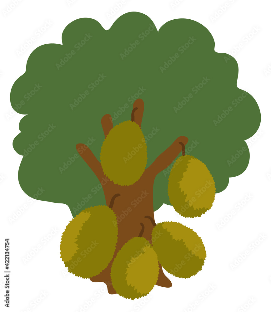Jack Fruit Tree Vector illustration Stock Vector Adobe Stock