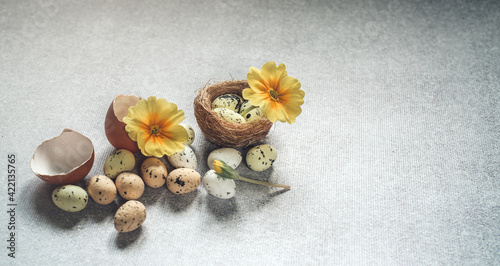 still life with flowers and acorns