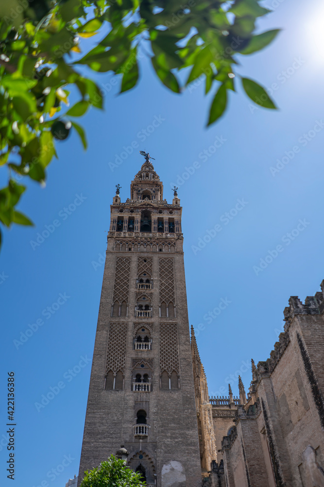 Fototapeta premium Giralda de Sevilla