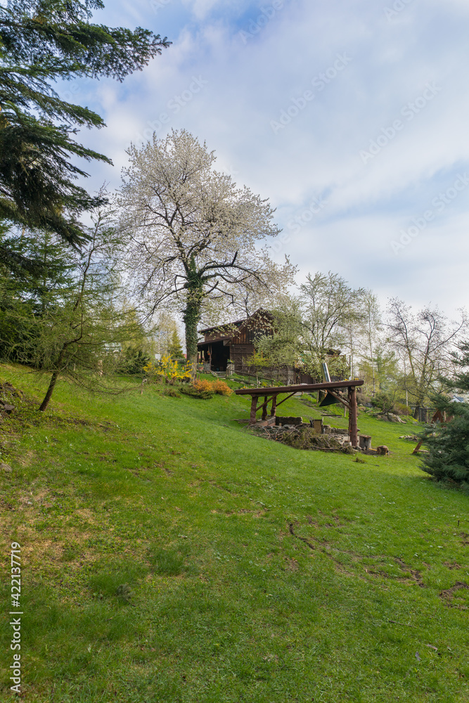 mountain landscape, green trees, grass,blue sky,white clouds mountain landscape, green trees, grass,blue sky,white clouds