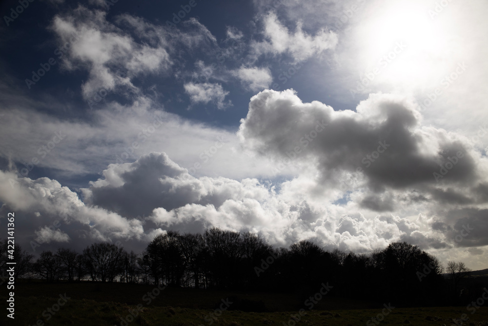 clouds in the sky