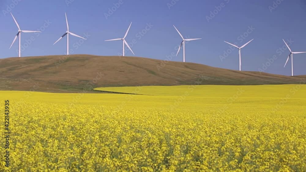 Wind Farm Renewable Energy Alberta Canada Wind Farm Renewable Energy Alberta Canada
