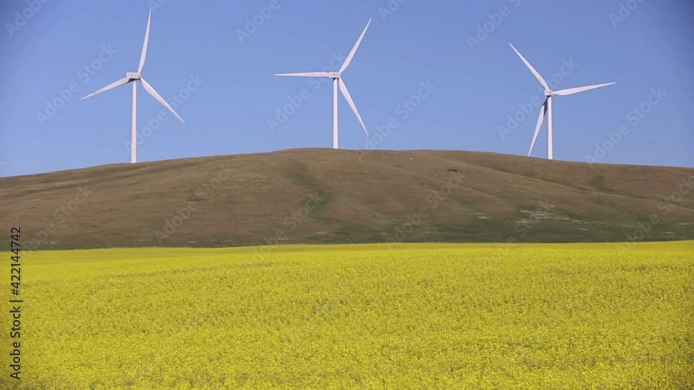 Wind Farm Renewable Energy Alberta Canada Wind Farm Renewable Energy Alberta Canada