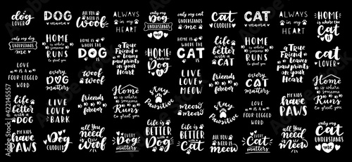 Cat and dog phrase black and white poster. Inspirational quotes about cat, dog and domestical pets. Hand written phrases for poster, cat and dog adoption lettering. Adopt a cat, dog.