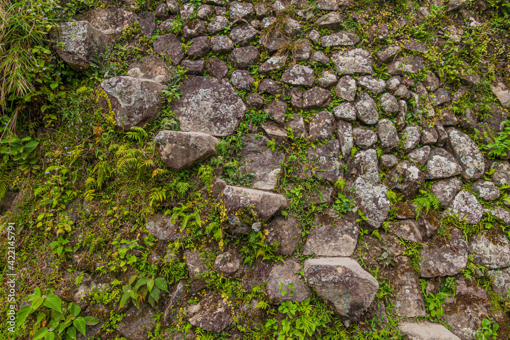 Stone steps at Batad rice terraces, Luzon island, Philippines Stone steps at Batad rice terraces, Luzon island, Philippines