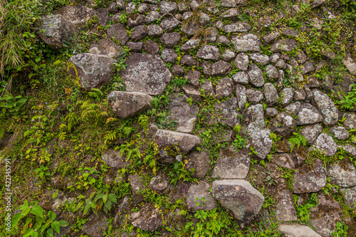 Stone steps at Batad rice terraces, Luzon island, Philippines