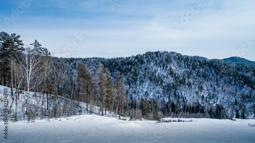 The hills of Transbaikalia covered with coniferous forest