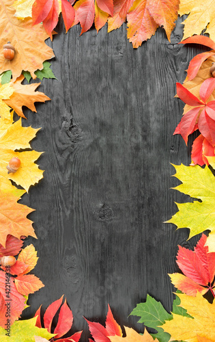 Vertical frame made of autumn leaves on a black wooden surface.