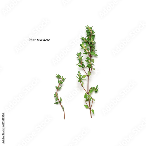 Fresh thyme isolated on white background. Creative layout. Top view, flat lay.
