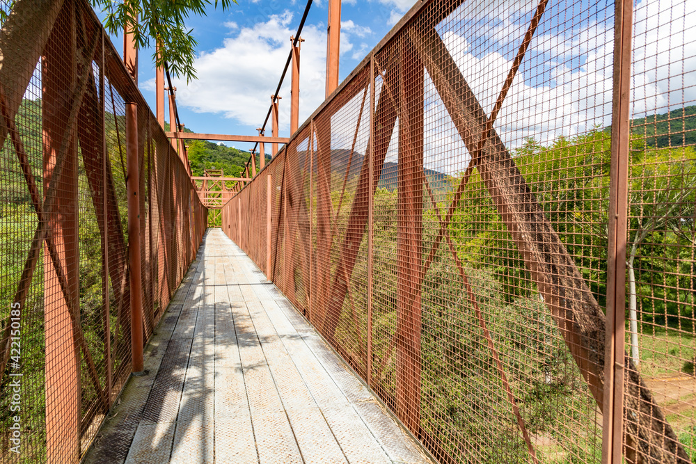 Obraz premium Iron bridge with mountains and forest