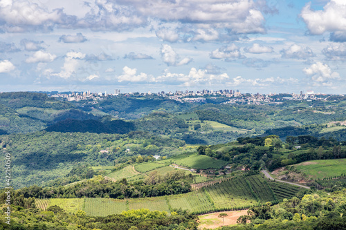 Vineyards and forest with Bento Goncalves city in background photo