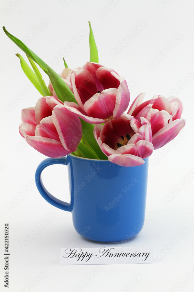 Happy Anniversary card with colorful Dutch tulips in blue mug on white surface