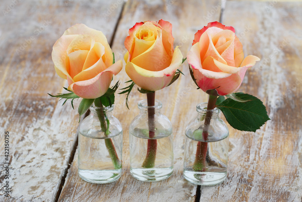 Cream color roses in miniature transparent glass bottles on rustic wooden surface with copy space