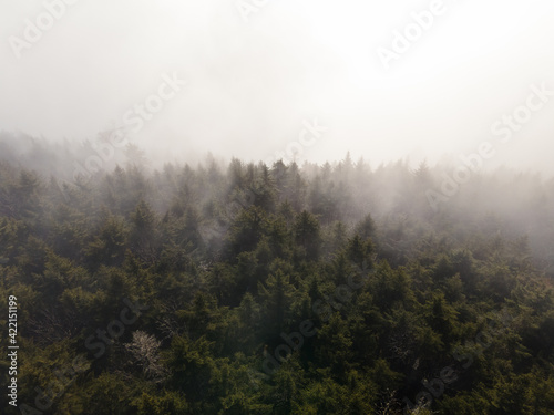 Flying over Fog in the Black Mountains in Western North Carolina © Eifel Kreutz