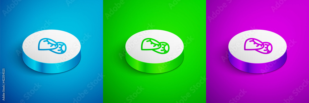 Isometric line Seeds of a specific plant icon isolated on blue, green and purple background. White circle button. Vector Isometric line Seeds of a specific plant icon isolated on blue, green and purple background. White circle button. Vector