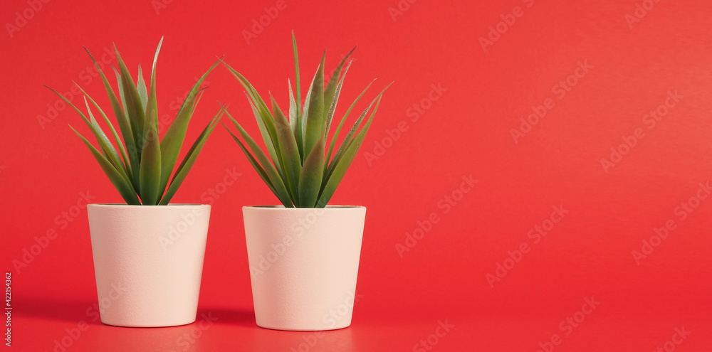 Two Artificial cactus or plastic plant or fake tree on red background.no people Two Artificial cactus or plastic plant or fake tree on red background.no people