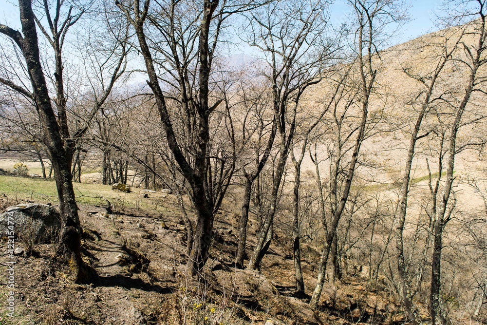 Obraz premium otoño