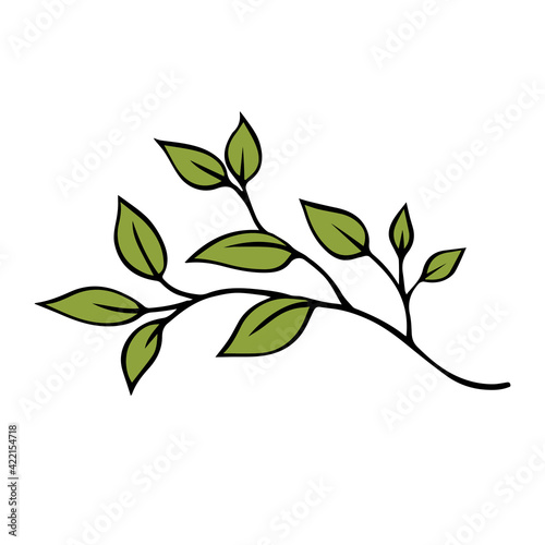Branch of a tree with green leaves on a white background. Outline drawing. Vector isolated illustration