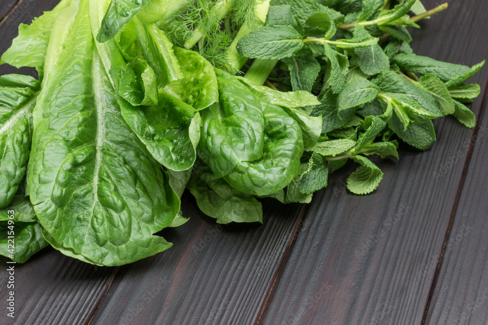 Fresh green lettuce leaves romaine and sprig of mint. Fresh green lettuce leaves romaine and sprig of mint.