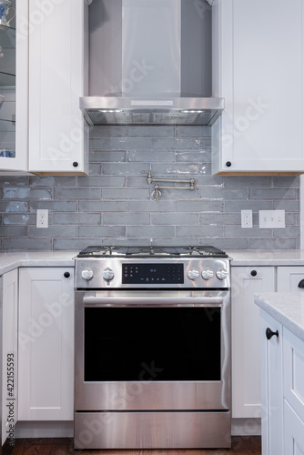 Photograph of a kitchen gas stove and oven with vent hood
