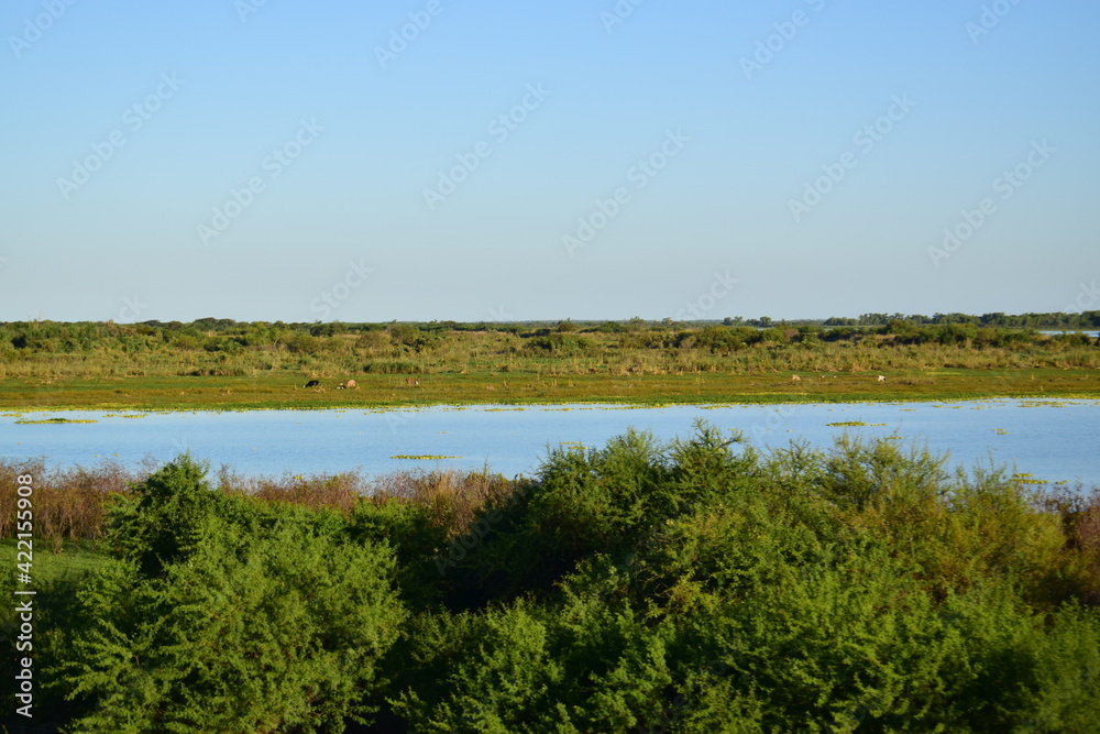 paisaje paisaje