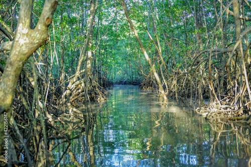 Paysages du Costa Rica