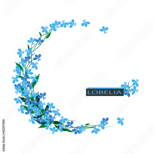 Round wreath garland of blue lobelia flowers. Plant with flowers and leaves. Copy space for design. Isolated on white background.