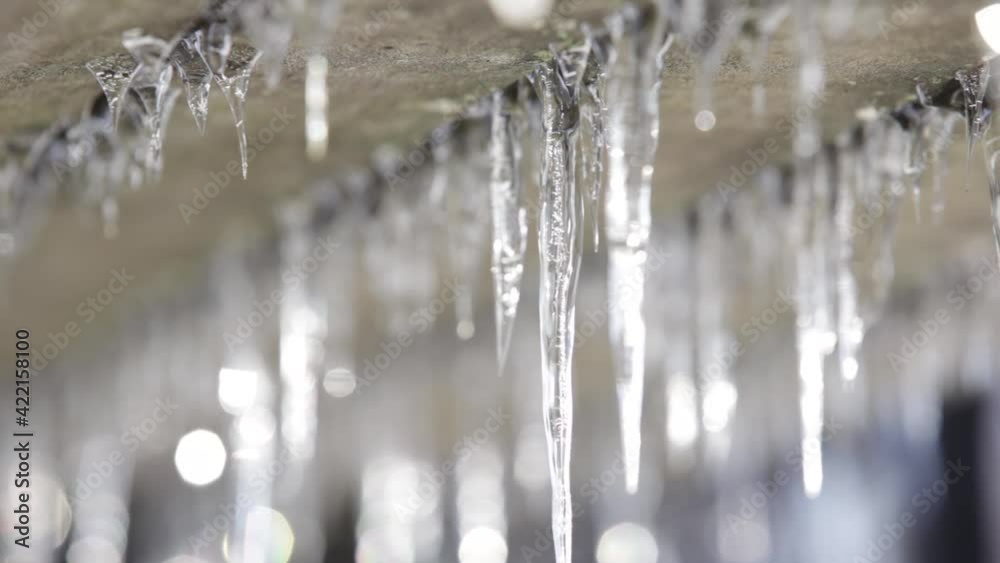 Icicles Hanging  From A Park Bench