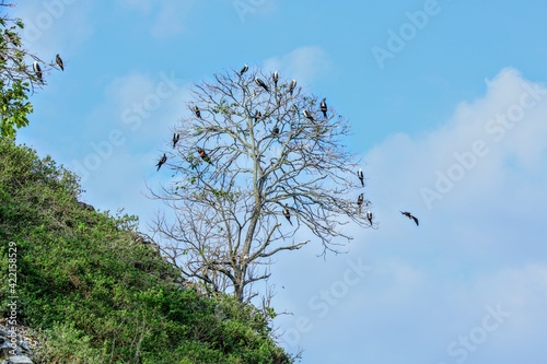 Paysages du Costa Rica
