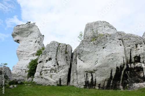 Unusual rocks called the Camel at Ogrodzieniec castle on Eagles Nests trail in the Jura region, Krakowsko-Czestochowska Upland, Poland. 