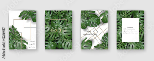 Beautiful background with leaves palm. Modern creative design. Vector illustration.