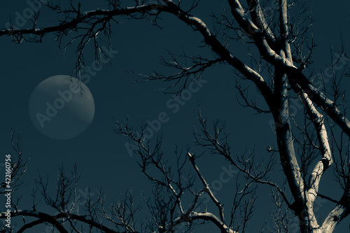 moon and tree