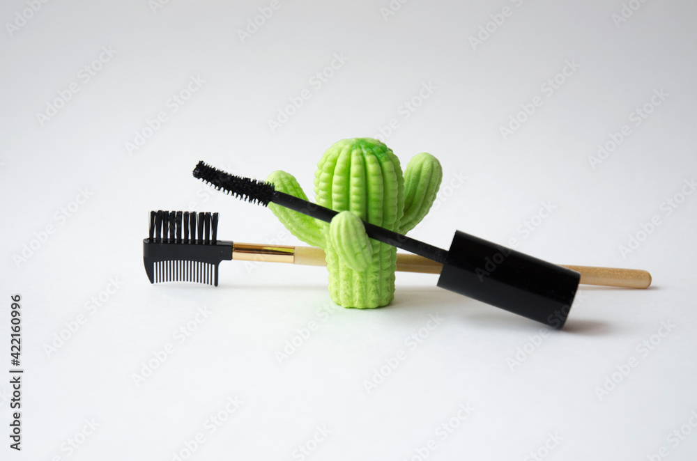 items for eyelashes mascara and a comb next to the cactus