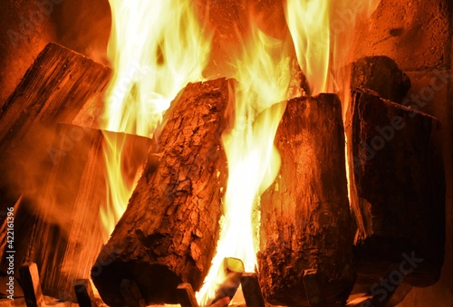 burning logs are burning in the fireplace