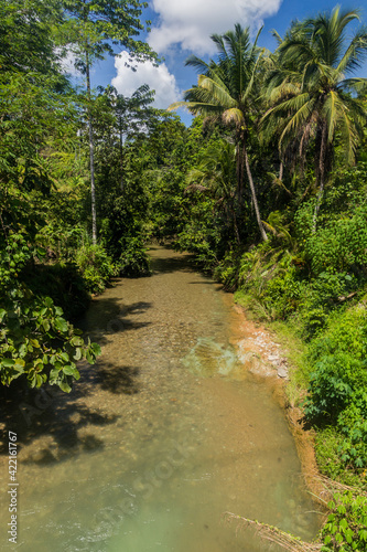 Fototapeta Naklejka Na Ścianę i Meble -  Small river in a jungle of Sarawak, Malaysia