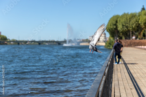 Parque Verde do Mondego, Coimbra, Portugal