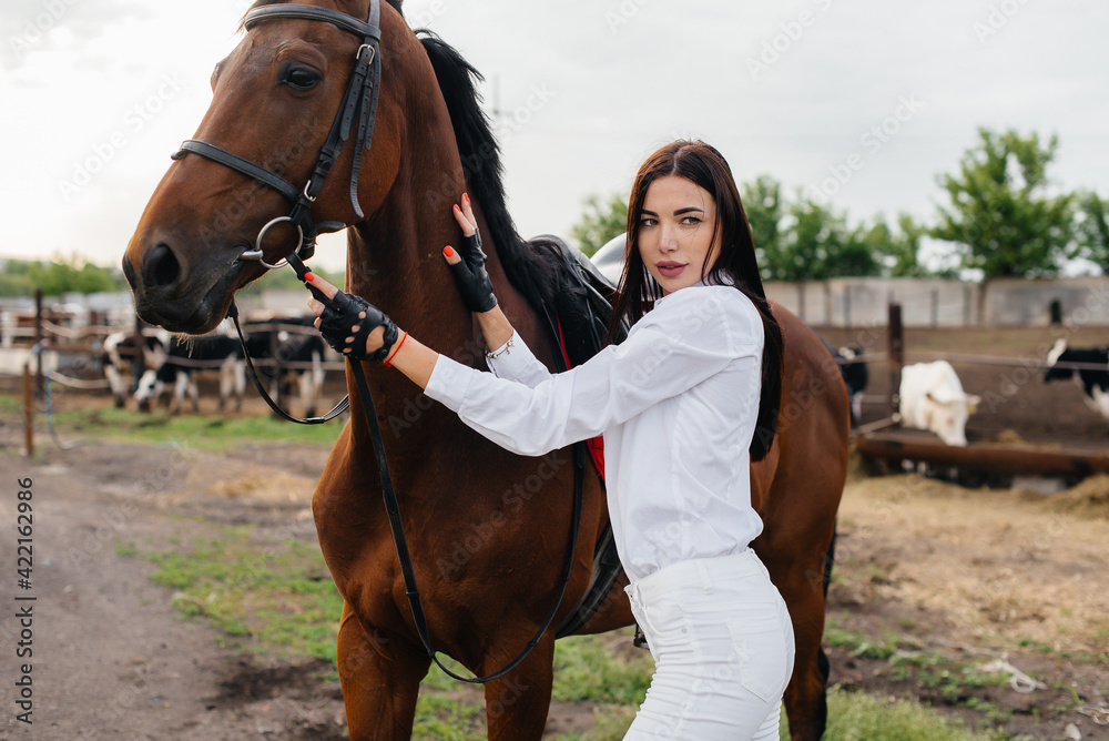 A young pretty girl rider poses near a thoroughbred stallion on a ranch. Horse riding, horse racing A young pretty girl rider poses near a thoroughbred stallion on a ranch. Horse riding, horse racing