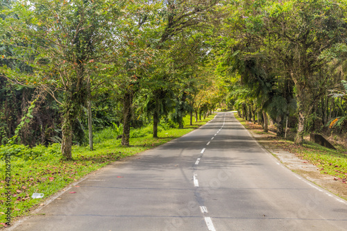 Road leading to Sepilok, Sabah, Malaysia